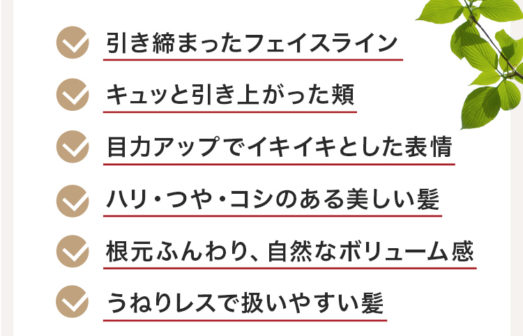 引き締まったフェイスライン、キュッと引き上がった頬、目力アップでイキイキとした表情、ハリ・つや・コシのある美しい髪、根元ふんわり、自然なボリューム感、うねりレスで扱いやすい髪