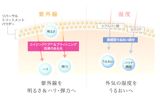 特別プレゼント | リバーサルトリートメントパウダー | スキンケア化粧品・サイエンスコスメのビーグレン（b.glen）