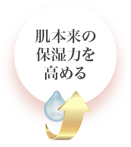 肌本来の保湿力を高める