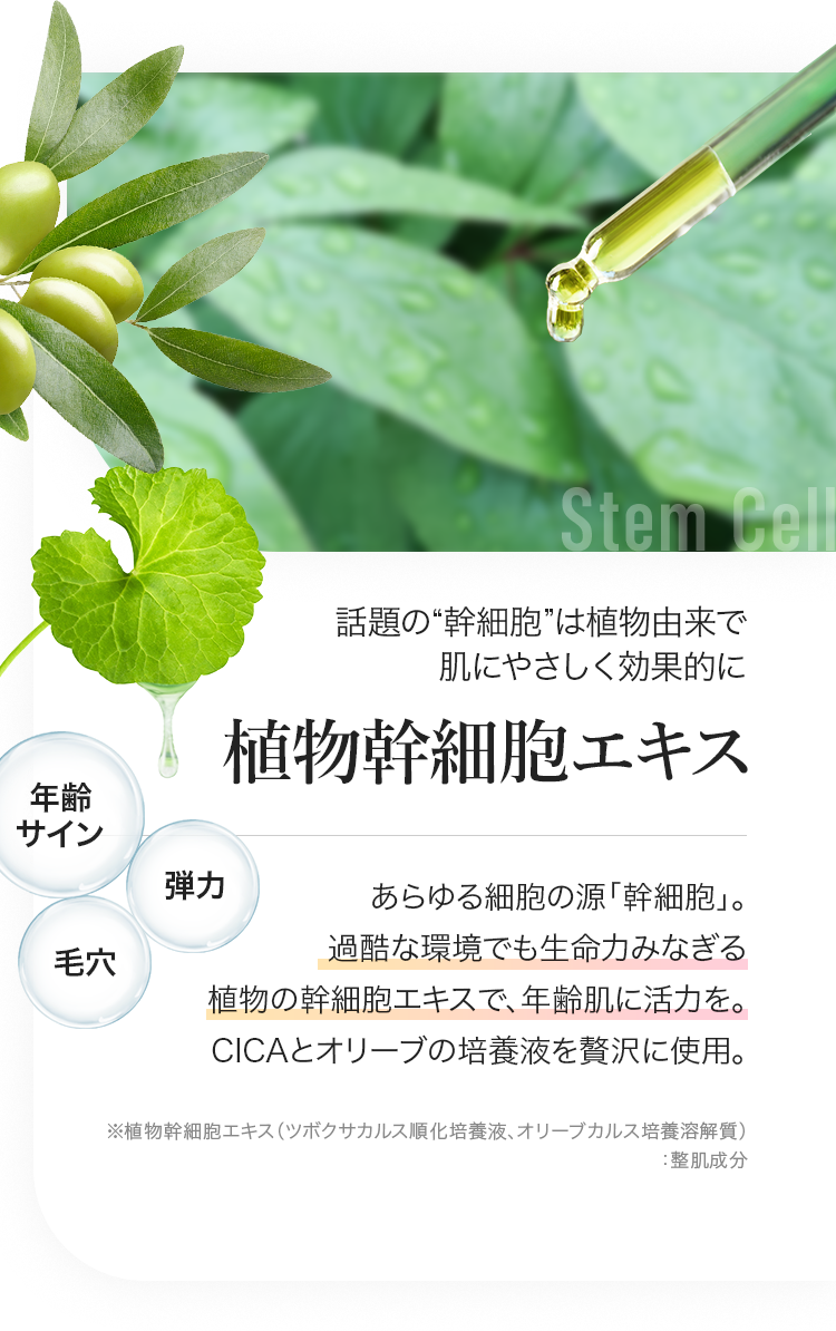 話題の“幹細胞”は植物由来で肌にやさしく効果的に植物幹細胞エキス