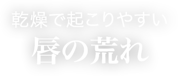 乾燥で起こりやすい唇の荒れ