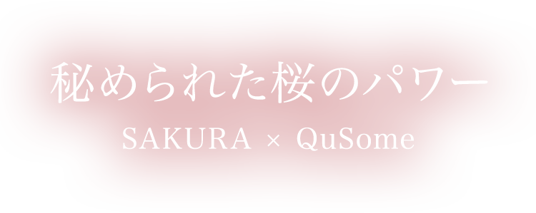 秘められた桜のパワー