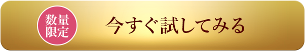 今すぐ試してみる