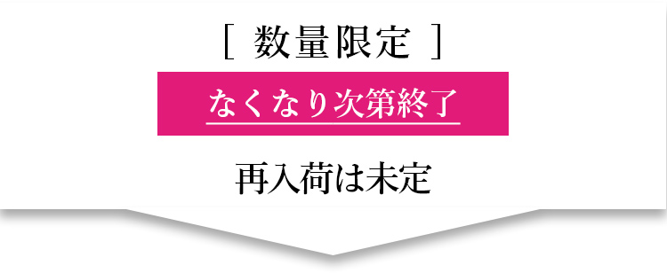 数量限定　なくなり次第終了 再入荷は未定